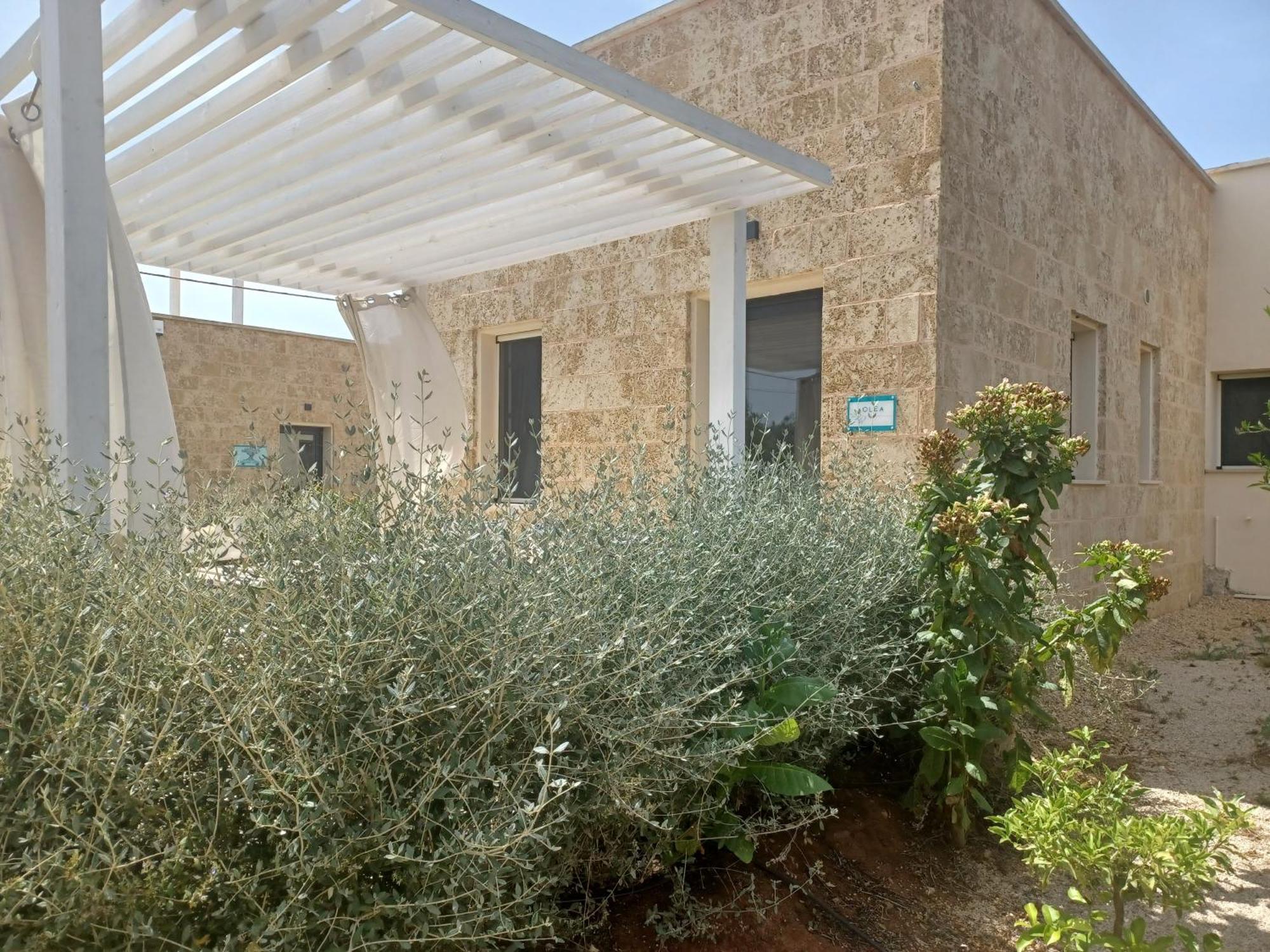 Zeituna Lodge A Porto Cesareo Torre Lapillo Exterior foto
