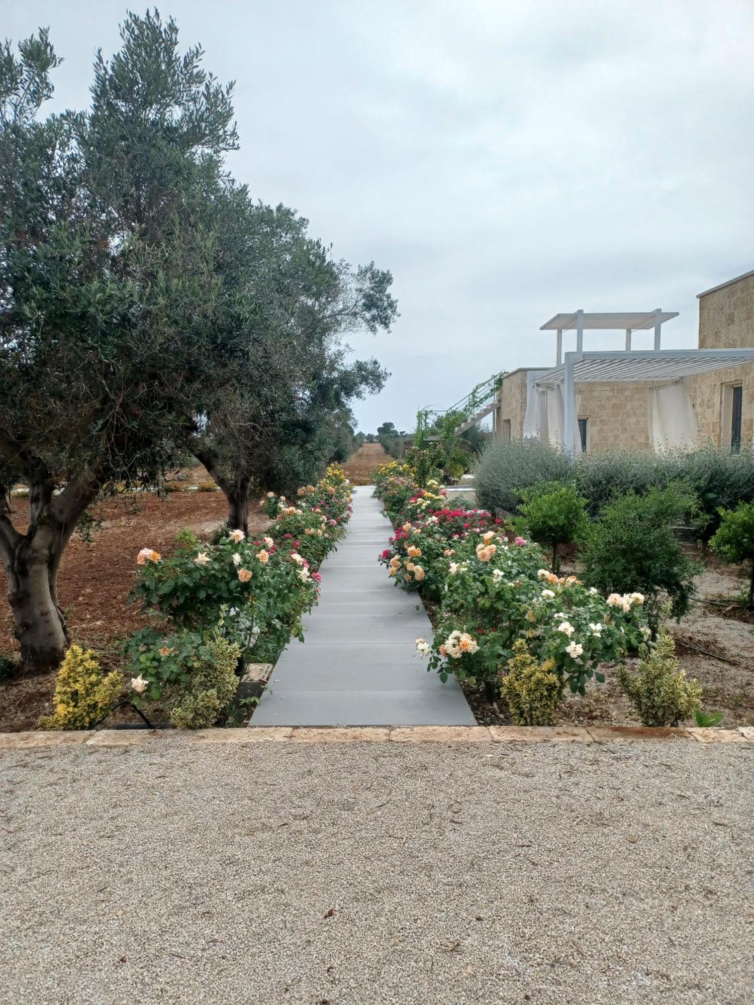 Zeituna Lodge A Porto Cesareo Torre Lapillo Exterior foto